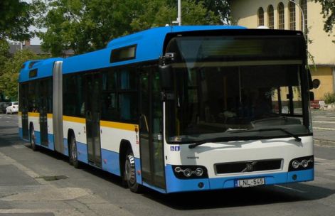 ter1.jpg ter1.jpg